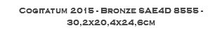 Cogitatum 2015 - Bronze SAE4D 8555 - 30,2x20,4x24,6cm