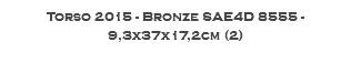 Torso 2015 - Bronze SAE4D 8555 - 9,3x37x17,2cm (2)