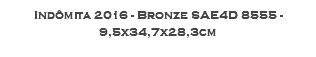 Indômita 2016 - Bronze SAE4D 8555 - 9,5x34,7x28,3cm