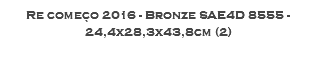 Re começo 2016 - Bronze SAE4D 8555 - 24,4x28,3x43,8cm (2)