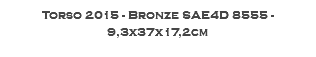 Torso 2015 - Bronze SAE4D 8555 - 9,3x37x17,2cm